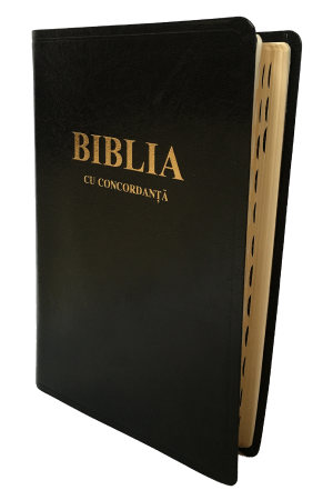 Biblia - ediție de lux 087 TI-CO - format XL