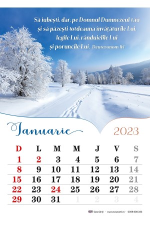Calendar de perete 2023 - format A4