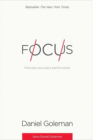 Focus. Motivația ascunsă a performanței