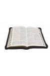 Biblia - ediție de lux 077 ZTI auriu - negru - format MARE