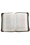 Biblia cu concordanță și explicații, fără index -- handmade -- PF - maro roșiatic