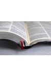 Biblia NTR 066 TI -- neagră