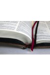 Biblia NTR 066 ZTI -- negru/bordo
