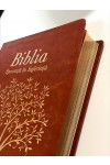 Biblia „Speranță în suferință” - maro