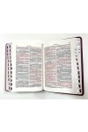Biblia - format MIC - 046 P - roz