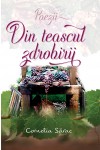 Din teascul zdrobirii-front cover