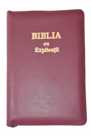 Biblia - ediție de lux 077 PF - auriu - format MARE