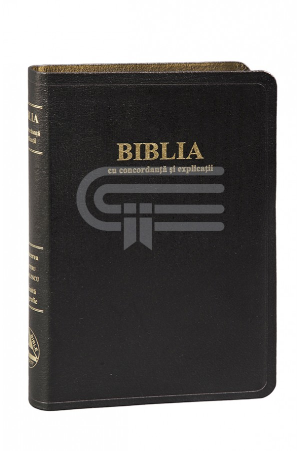 Biblia - ediție de lux 077 TI - format MARE