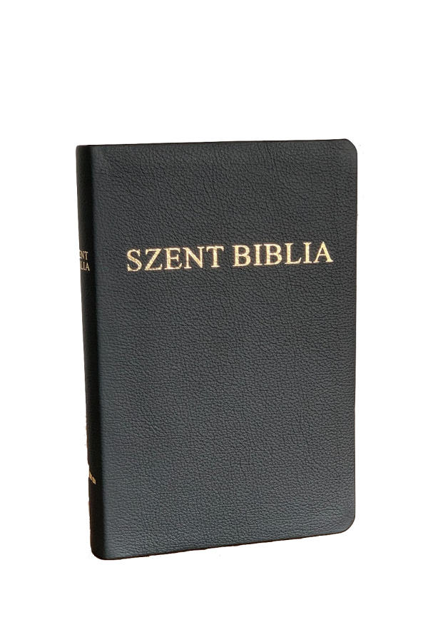 Biblia în limba maghiară - 073 P - aurie