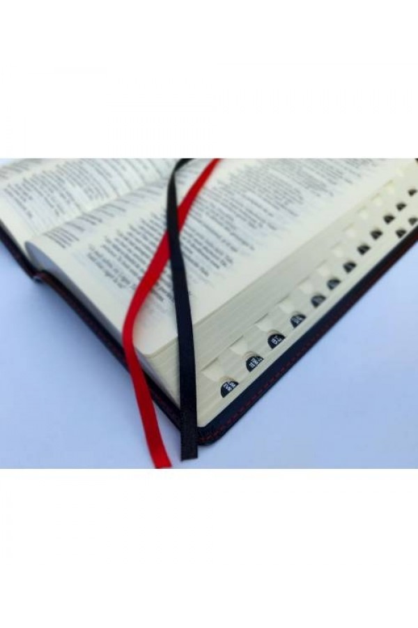 Biblia NTR SCR 065 TI negru